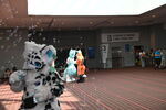 DSC_8797.JPG